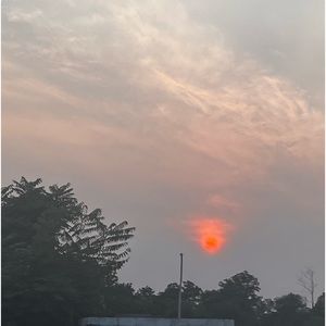 Meet your Posher, Addison